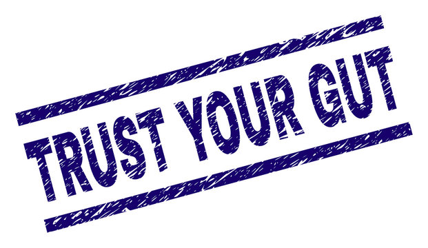 TRUST YOUR GUT seal print with distress style. Blue vector rubber print of TRUST YOUR GUT text with scratched texture. Text caption is placed between parallel lines.