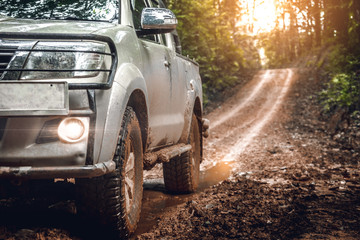 Off-road travel in the forest road. with light of sunset