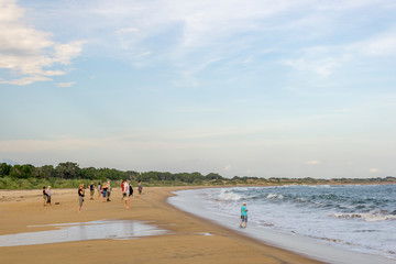 Fototapeta na wymiar Yala Beach Sri Lanka