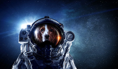 First trip to space. Mixed media