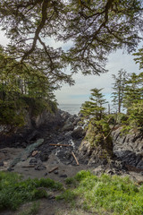 Wild Pacific Trail, Ucluelet, Vancouver Island,  British Columbia, Canada