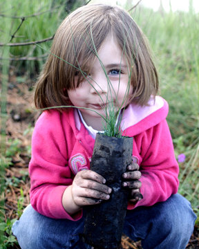 Tierna ni&ntilde;a sonriente con una &aacute;rbol para plantar en las manos