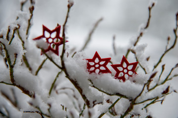 3 rote Sterne auf Zweigen im Schnee Winter