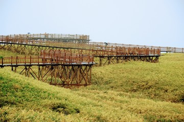 世界自然遺産知床五湖の一湖高架木道