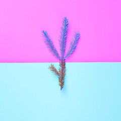 Christmas composition. Creative layout fir blue branch isolated on ultra violet background. Christmas tree surrealism. Flat lay, top view, copy space. Funky neon colors, trendy minimal concept.