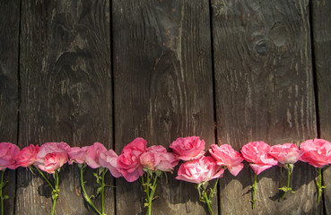Fototapeta na wymiar Pink romantic roses on rustic wooden background