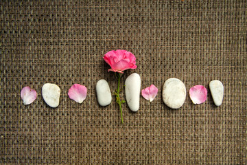 Pink rose and spa sea stones on  rustic background