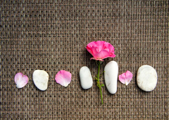 Pink rose and spa sea stones on  rustic background
