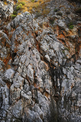 stone
