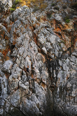 stone