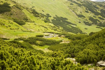 Scenic green hill in the beautiful valley