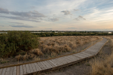 Wooden walk by the boards of daimiel at sunset