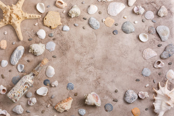 Fototapeta na wymiar Sea shells in starfish on a textural background. The concept of flat lay.
