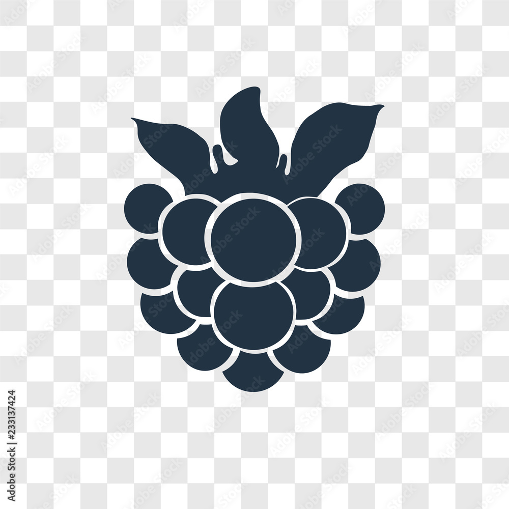 Poster raspberry vector icon isolated on transparent background, raspberry transparency logo design