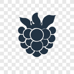 Raspberry vector icon isolated on transparent background, Raspberry transparency logo design