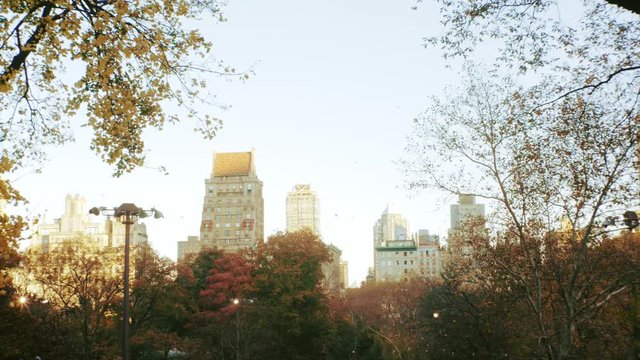 Cental Park and City Skyline with Autumn Leaves Falling