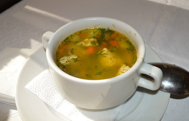 Fresh chicken soup with fennel