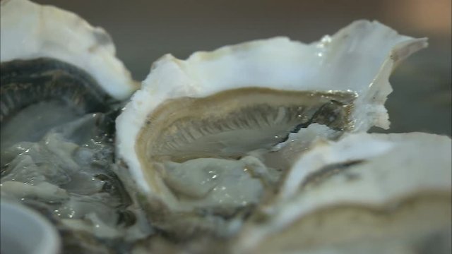 A close up, pan of oysters in their shells on a plate