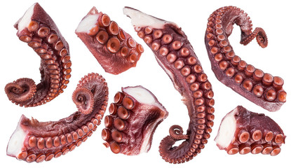 Pieces of cooked devil-fish or octopus arms. Clipping paths.