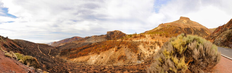 Burned trees in mountain desert, Panorama, Teide Volcano, Tenerife, Canarian Islands