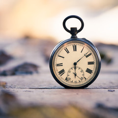 Time goes by: vintage watch outdoors; wood and leaves;