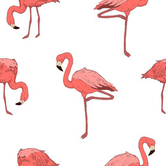 Seamless pattern with a bird flamingos. Beautiful pink bird. Tropical flamingo.