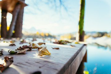 Colourfull laves on a footbridge, autumn, copy space
