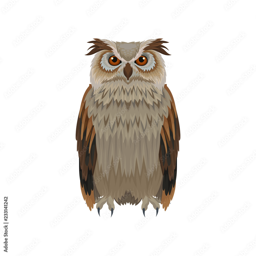 Wall mural great horned owl with brown plumage, front view. large forest bird. ornithology and fauna theme. fla