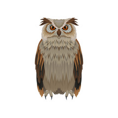 Obraz premium Great horned owl with brown plumage, front view. Large forest bird. Ornithology and fauna theme. Flat vector icon
