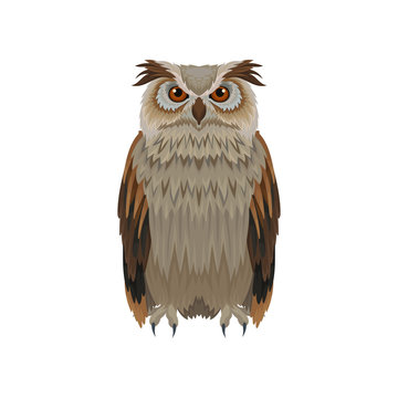 Great horned owl with brown plumage, front view. Large forest bird. Ornithology and fauna theme. Flat vector icon