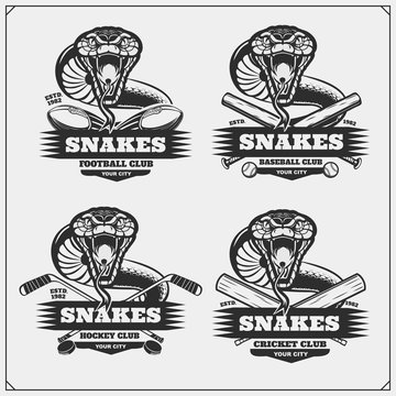 Cricket, baseball, football and hockey logos and labels. Sport club emblems with snakes.