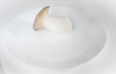 One King Trumpet Mushroom on a plate