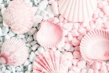 Sea shells, natural pink and blue stones as  background. Marine texture. Relax concept. Flat lay, top view 