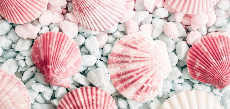Sea shells, natural pink and blue stones as  background. Marine texture. Relax concept. Flat lay, top view 