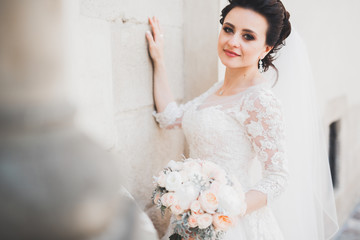Beautiful luxury bride in elegant white dress