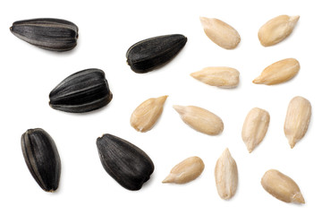 Obraz premium sunflower seeds isolated on white background. top view