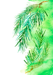 Branch of spruce, pine, cedar tree. Painted in watercolor, hand-drawn graphics. On a white background. For postcards, logos, your design. Watercolor Christmas tree branches. Hand painted texture.