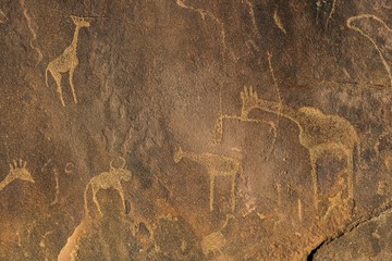 Rock engravings, animal depictions, Twyfelfontain, Kunene district, Namibia, Africa