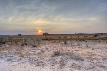 KGALAGADI Trans-frontier Park. Dawn views of the Kalahari desert landscape, South Africa