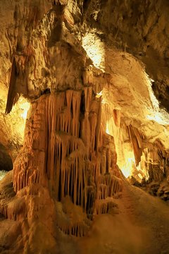 Stalactites and stalagmites have merged into a pillar, karst cave, Postojna, Slovenia, Europe