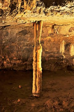 Stalactites and stalagmites have grown together, karst cave, Postojna, Slovenia, Europe
