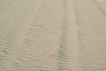 River building sand patterns from the wind, natural background. Shallow depth of focus in the center.
