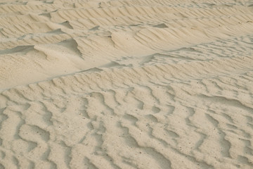 River building sand patterns from the wind, natural background. Shallow depth of focus in the center.
