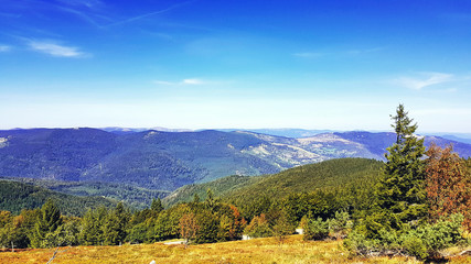 Une virée en Alsace