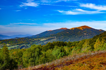 Fototapeta premium Landscape of autumnal peaks of the Carpathians.