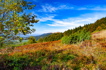 Fototapeta premium Landscape of autumnal peaks of the Carpathians.