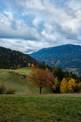 Autumn landscape