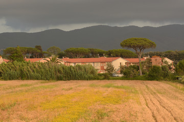 View of the farm in Tuscany, the Alps and the dark sky before a thunderstorm. Marina castagneto carducci. Italy.