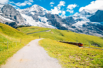 Snowy mountain and grass field at Jungfrau region in Switzerland