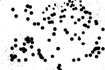 Ink grunge drops texture. Black hand drawn splashes and stains on white background.